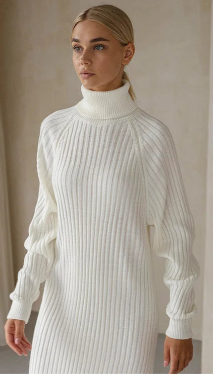 Robe en maille col roulé - Robe Addict